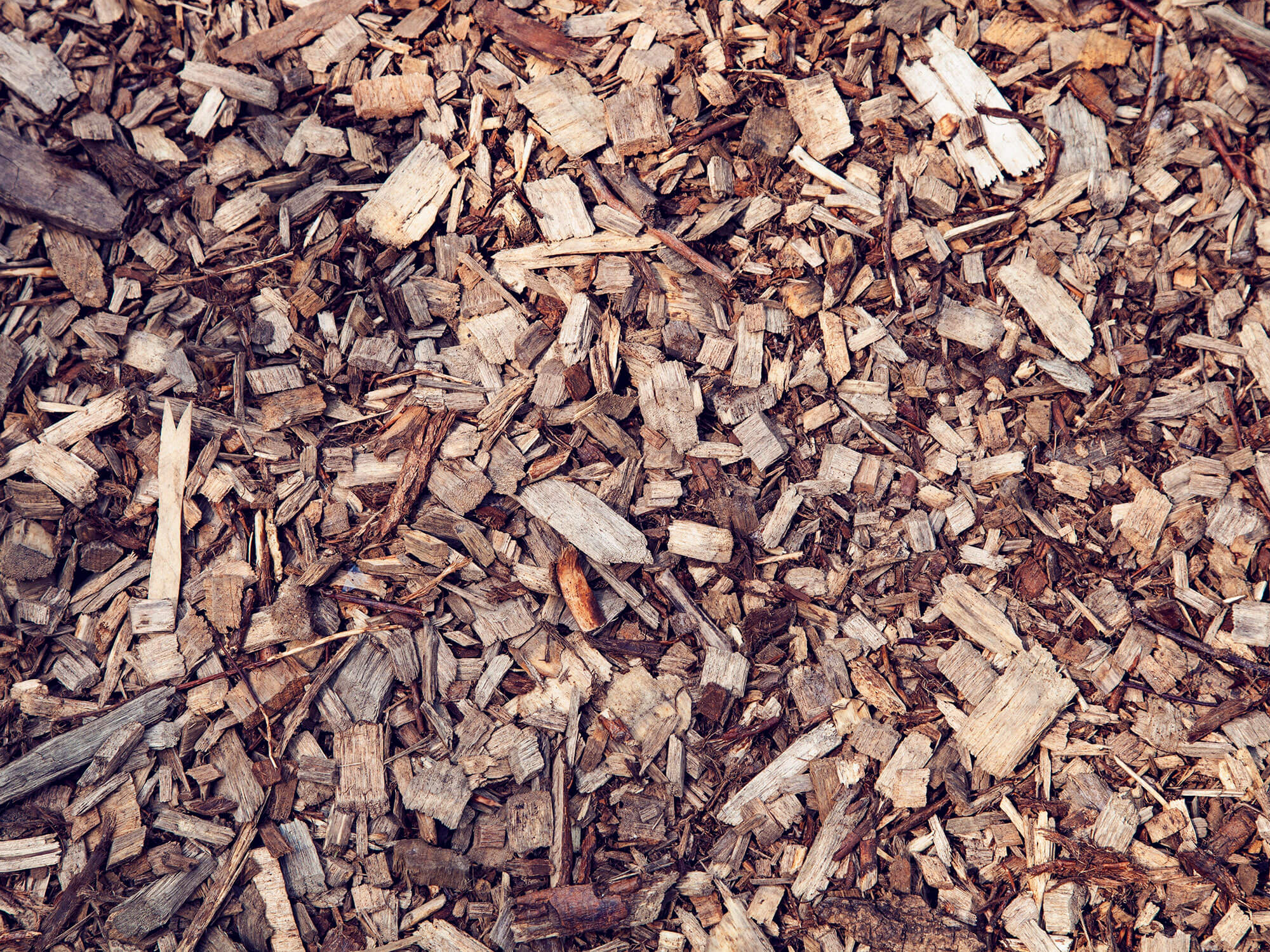 Wood chips